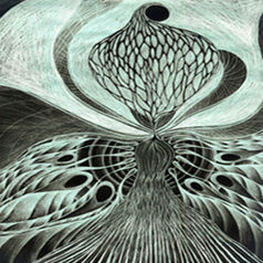 Black Albatross : Ether